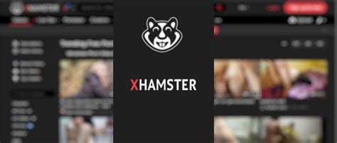 xhamster porno video|Best Porn Channels: Sex Video Producers & Creators 